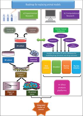 Progressing Towards a Human-Centric Approach in Cancer Research